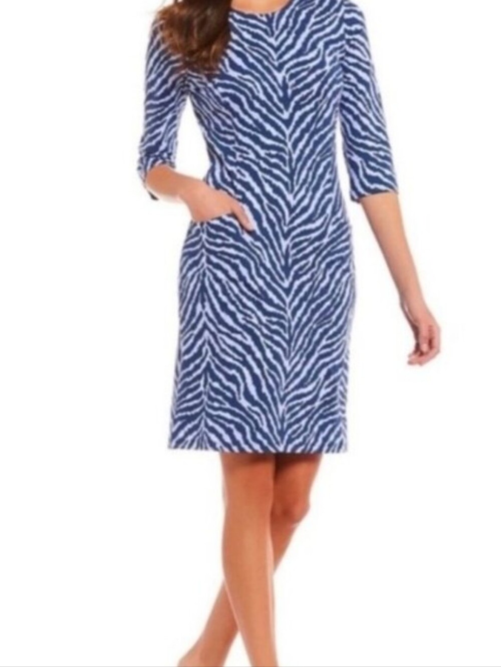J. McLaughlin Blue White Zebra Long Sleeve Catalina Cloth Sm Vacation Nautical